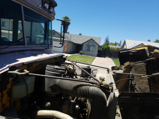 ford bluebird bus conversion