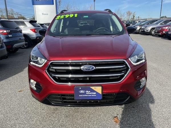 2019 ford escape in minneapolis, minnesota