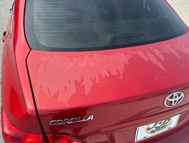 2009 toyota corolla