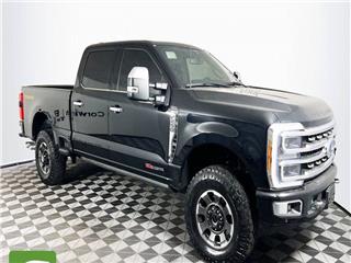 2023 Ford F-250 platinum