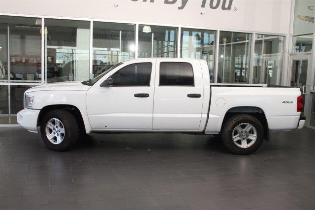 2010 dodge dakota big horn 4x4 big horn 4dr crew cab for sale in albuquerque, new mexico