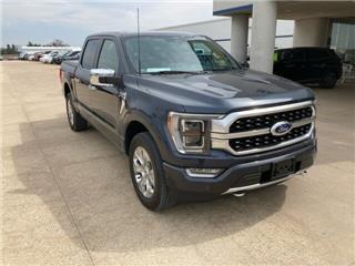 2022 Ford F-150 platinum