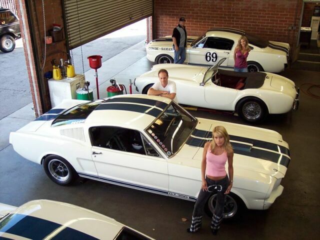 1966 shelby gt350 mustang cobra vintage racecar