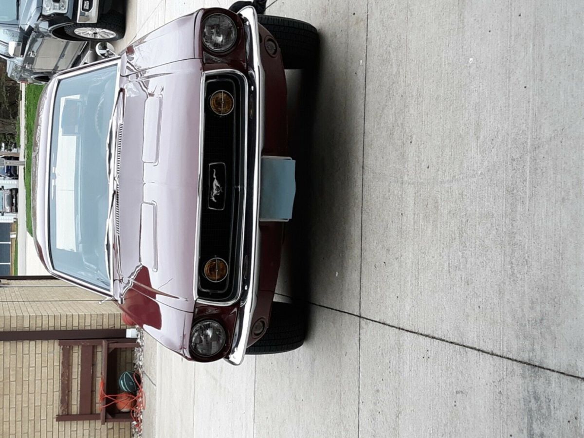 1968 mustang cs428cj