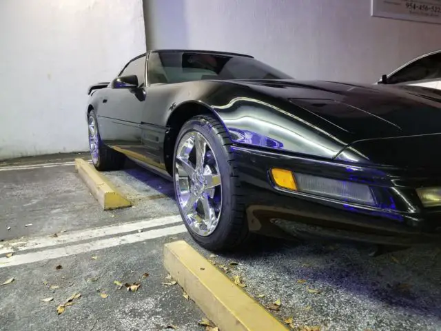 rare beauty