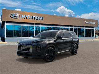 2025 Hyundai Palisade xrt