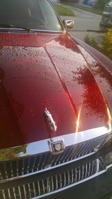 jaguar xj6 cherry colored jaguar car