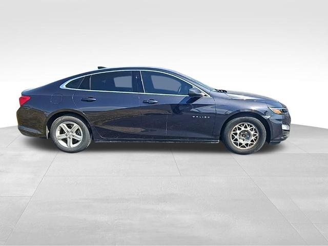 2023 chevrolet malibu 1ls
