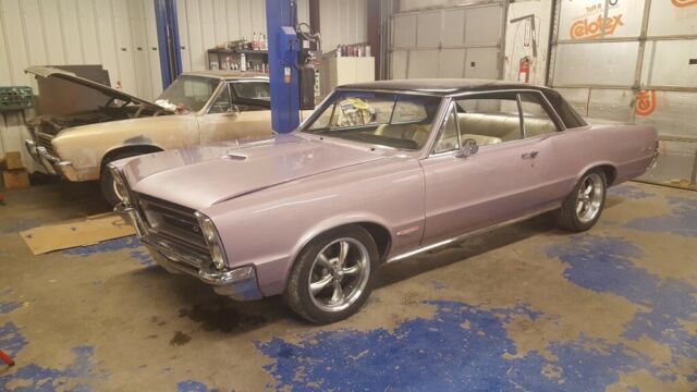 1965 gto in rare iris mist with complete restoration just completed