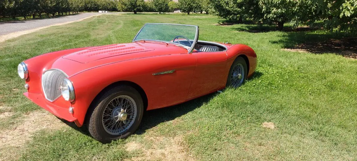 classic car, 1955 austin healey roadster 100 bn2 convertible, sports car