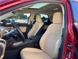 2020 Lexus NX 300