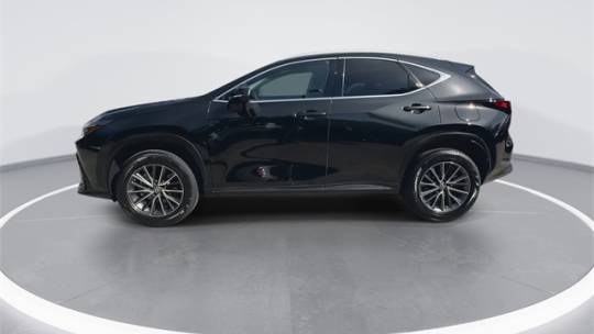 2023 Lexus NX