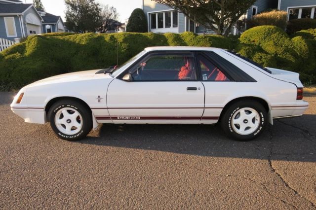 1984 ford mustang gt 20th anniversary 5/speed show winner