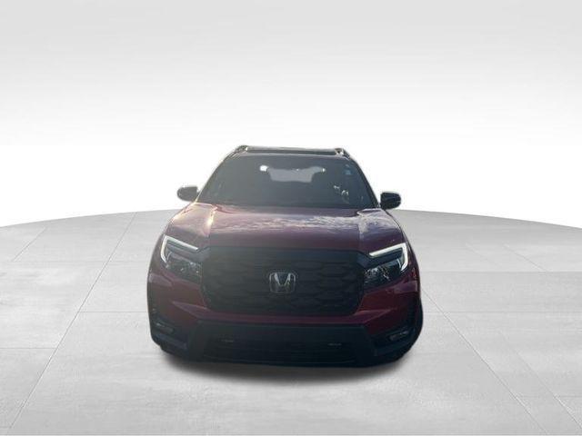 2023 honda passport elite
