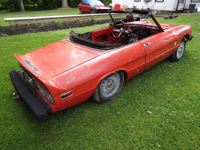 1978 alfa romeo niki lauda edition spider