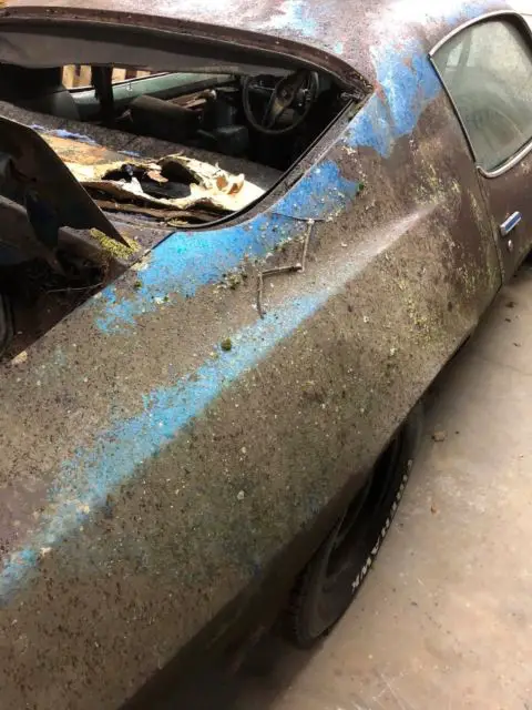 1970 chevrolet camaro z28 rally sport real real