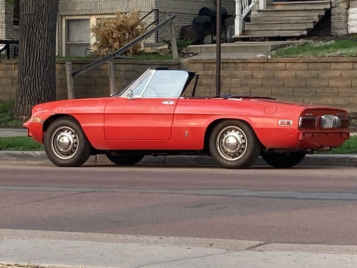 1977 spider