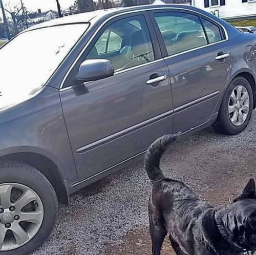 2008 kia optima ex for sale in kentucky by owner