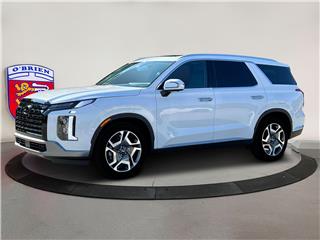 2025 Hyundai Palisade limited