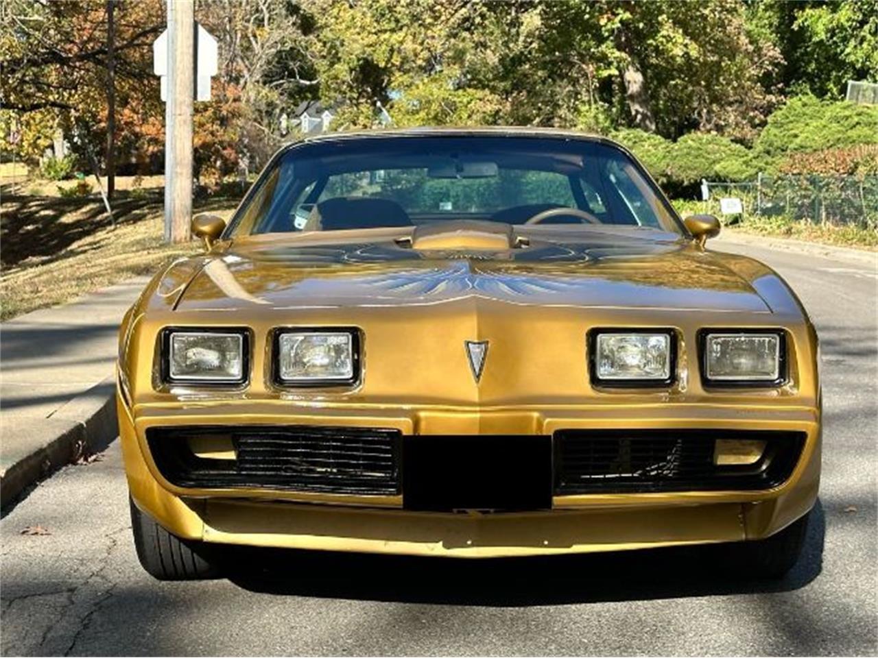 1979 pontiac firebird
