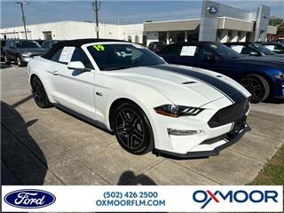 2019 Ford Mustang gt premium