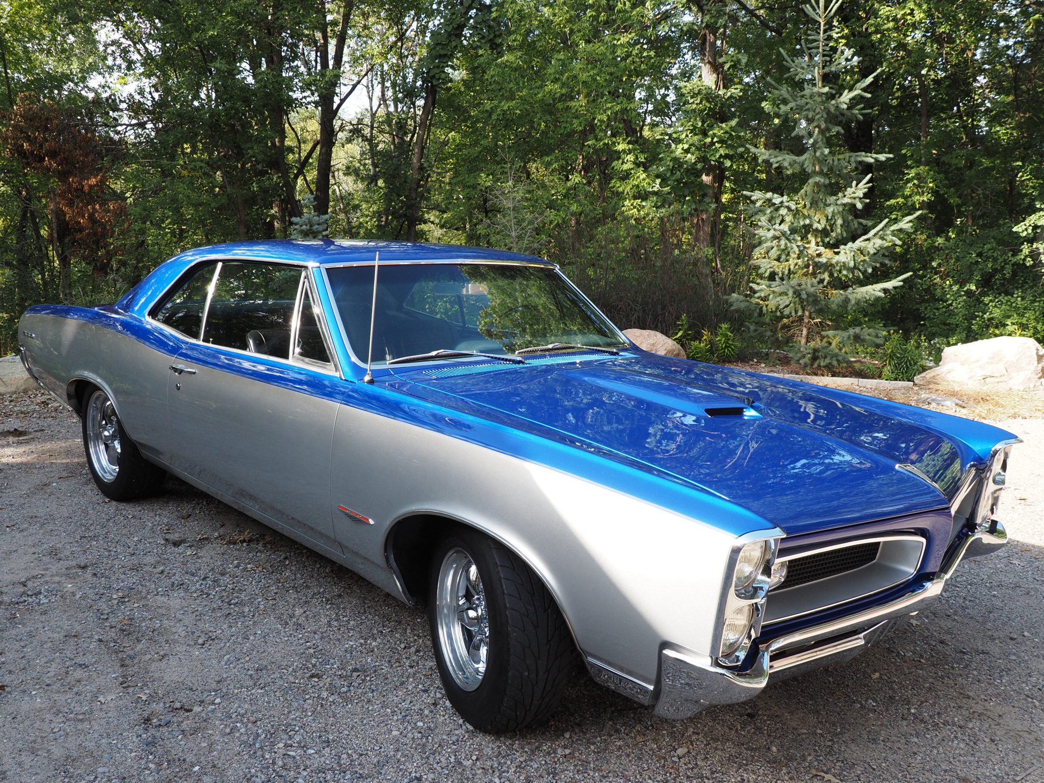 1966 pontiac gto