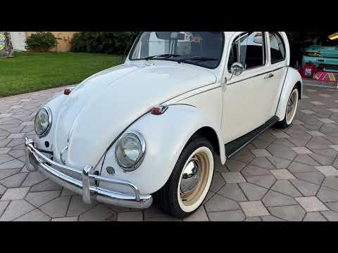 1965 volkswagen beetle in miami, florida