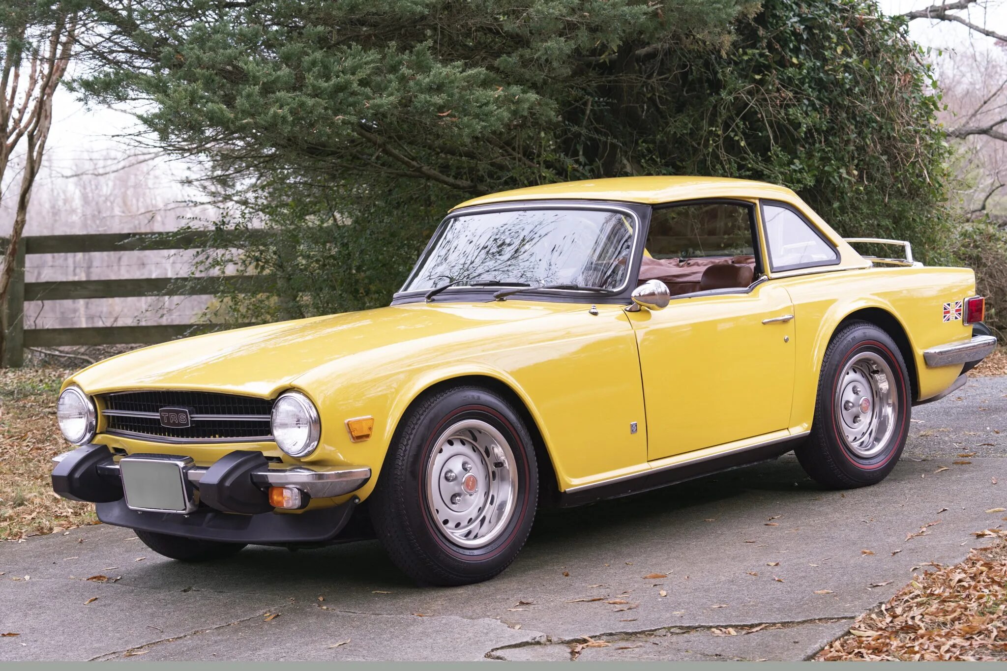triumph tr6