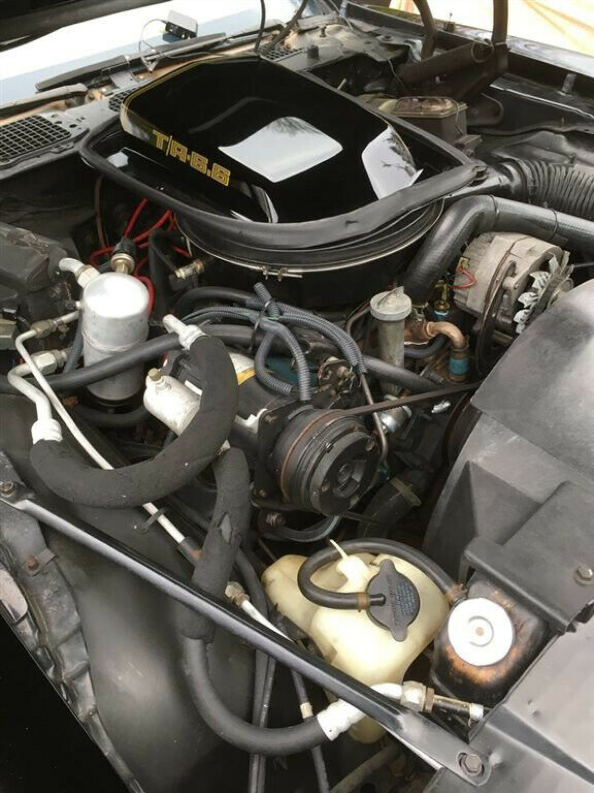 1979 pontiac trans am coupe 185hp v8 automatic 28,000 miles performance package