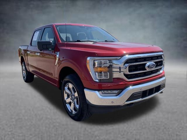 2022 ford f-150 xlt