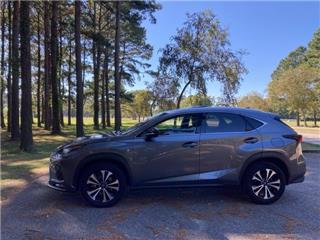 2019 Lexus NX 300