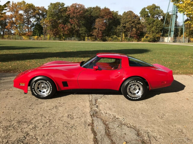 1981 chevrolet corvette ~ low mile original survivor ~ awesome cruiser ~ buy me