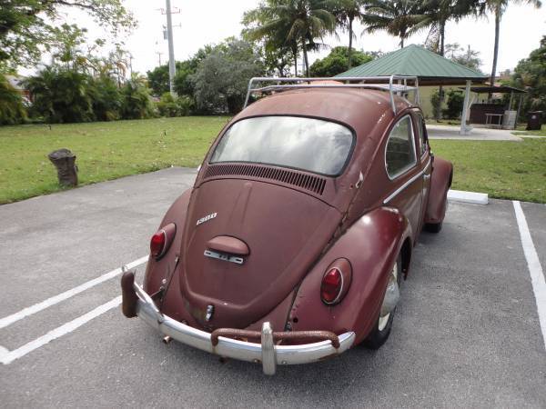 66 vw beetle - true barn find