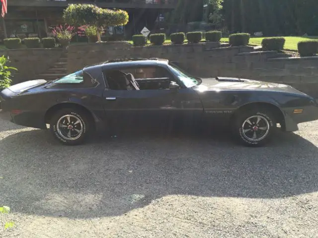 1981 trans am t tops