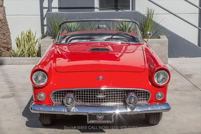 1955 ford thunderbird