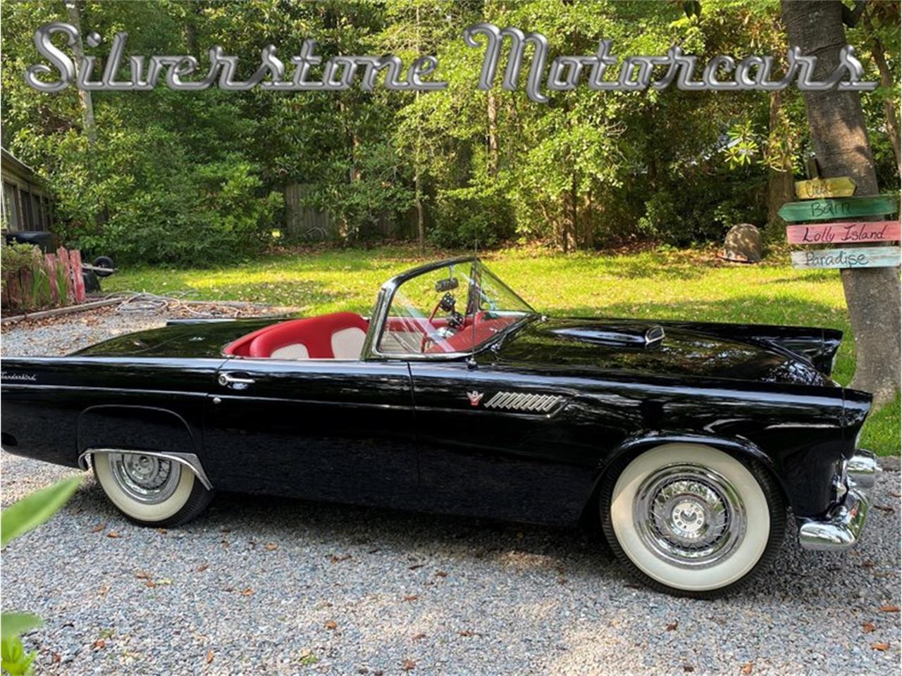 1955 ford thunderbird