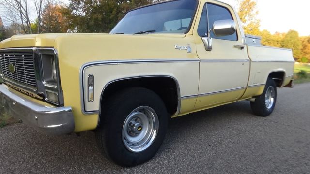 1979 chevrolet cheyenne truck swb / very solid!! last year for round headlights