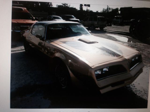 1978 pontiac trans am gold edition t-tops automatic transmission