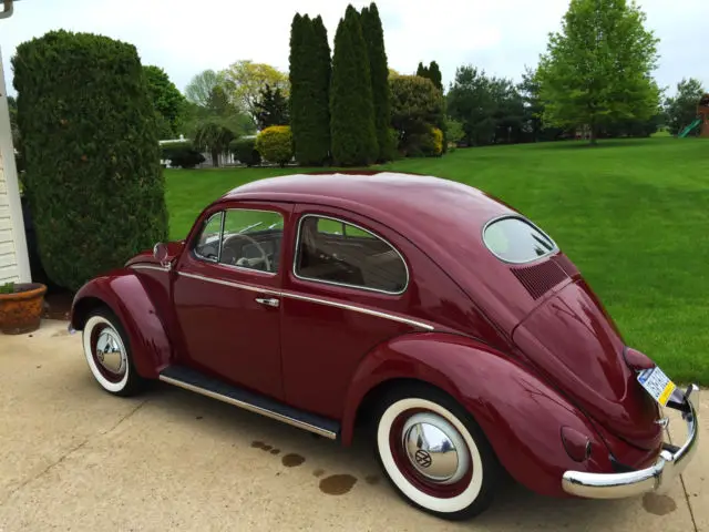 1955 volkswagen beetle- deluxe. must see!