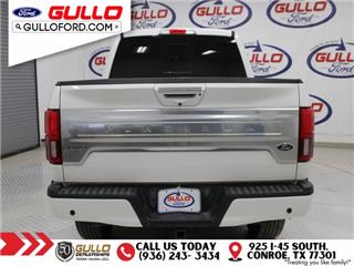 2020 Ford F-150 platinum