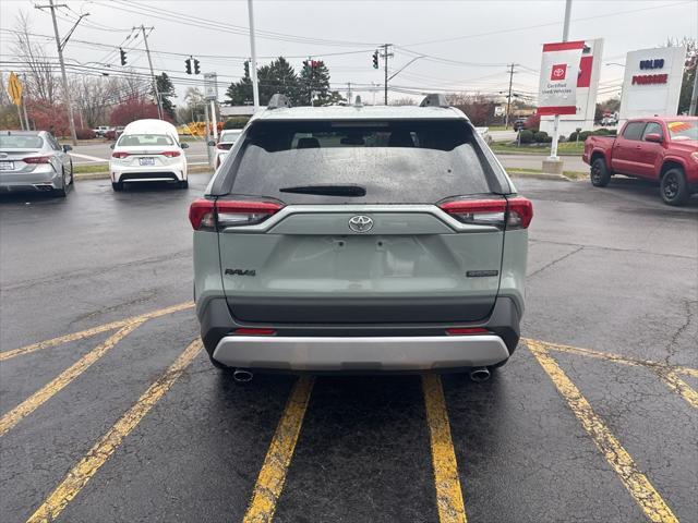 2019 toyota rav4 adventure