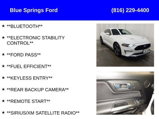 2023 ford mustang ecoboost