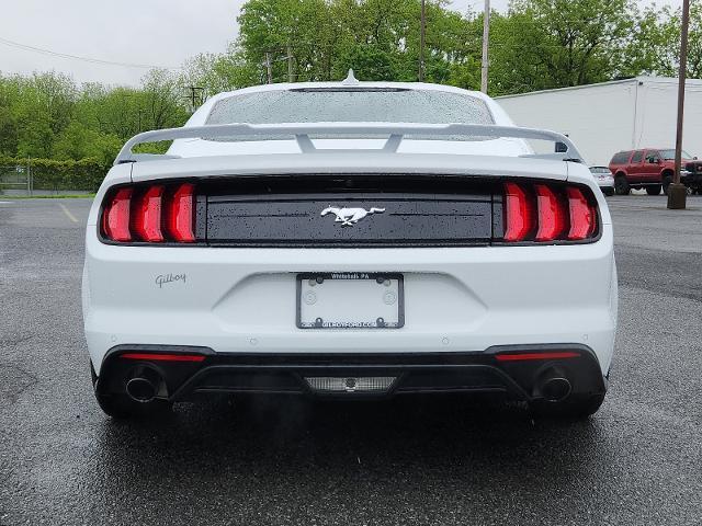 2022 ford mustang ecoboost