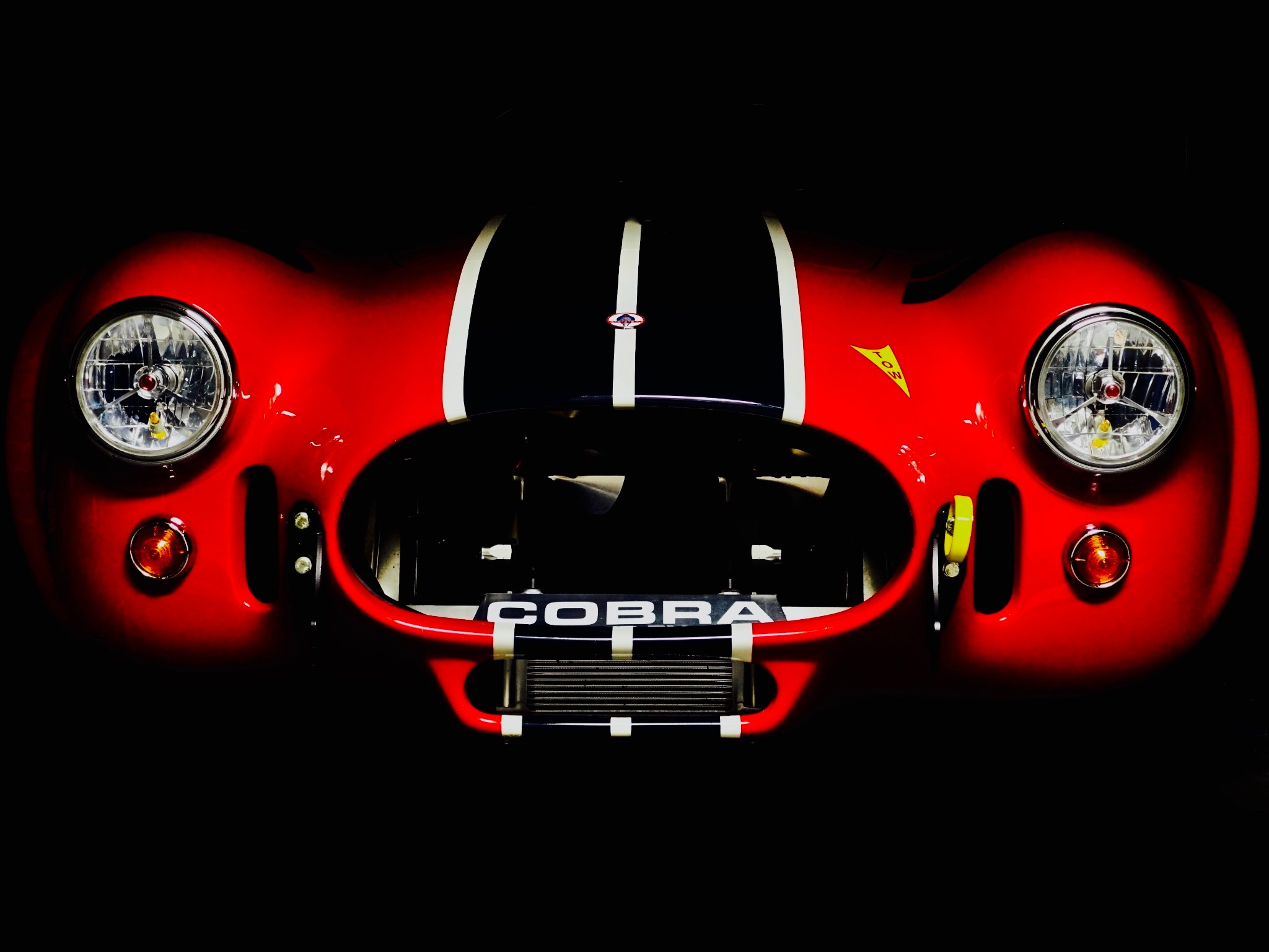 1965 shelby cobra csx6000