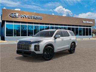 2025 Hyundai Palisade xrt