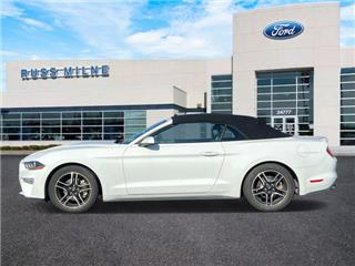 2022 Ford Mustang ecoboost
