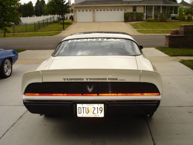 1981 pontiac trans am pace car