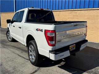 2021 Ford F-150 platinum
