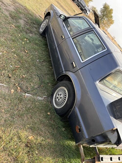 shes a 87 dodge dynasty otherwise known as a dnasty. mostly stripped to be an endu