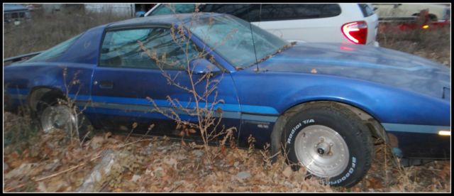 1983 pontiac firebird project car